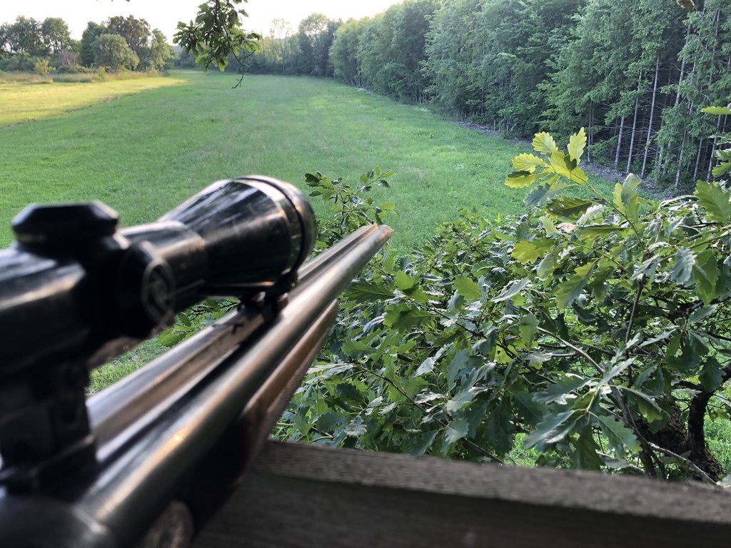 Gewehr mit Zielfernrohr, ruht auf einer Plattform, zeigt auf eine weite grüne Wiese, umgeben von dichtem Wald im Hintergrund unter blauem Himmel.